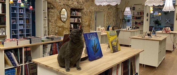 Во Франции открылся книжный, в котором работают кошки