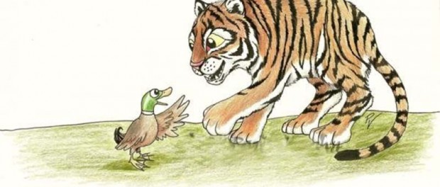 Забавное видео утки, играющей в прятки с тигром