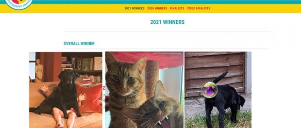 Comedy Pet Photo Awards 2021 опубликовал фото победителей