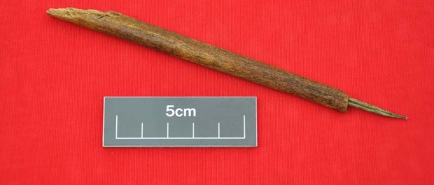 В Ирландии откопали самую древнюю ручку на острове