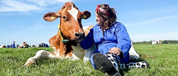 Обнимашки с коровами — новый способ борьбы со стрессом
