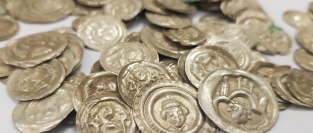 В Польше собака откопала уникальную коллекцию монет