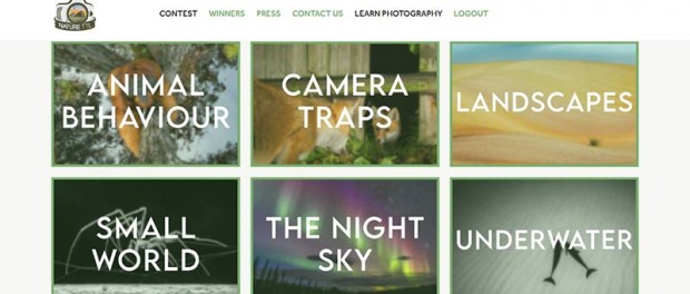 Определились лучшие фото конкурса Nature TTL Photographer of the Year