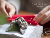 3D-портреты кошек от японского мастера Wakuneco