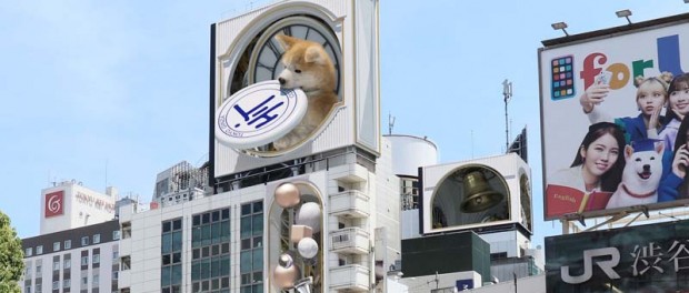 Японцы создали гигантские часы с 3D-анимацией в честь Хатико