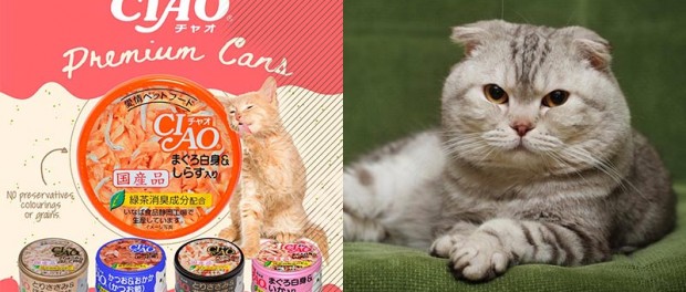Великолепная реклама кошачьего корма от ciao