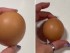 Жаклин Фелгейт удалось в упаковке куриных яиц найти редчайшее яйцо идеально круглой формы.